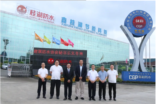 中國建筑防水協(xié)會秘書長朱冬青調(diào)研桂湖防水集團，共話防水行業(yè)發(fā)展新機遇